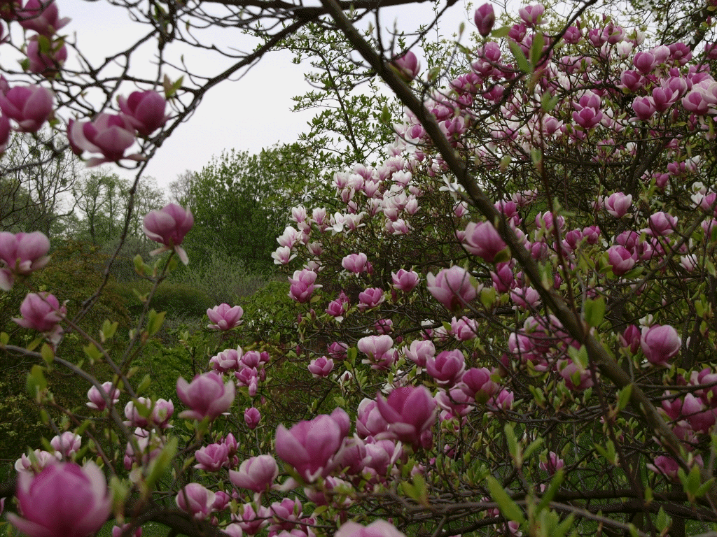 P417909x.gif