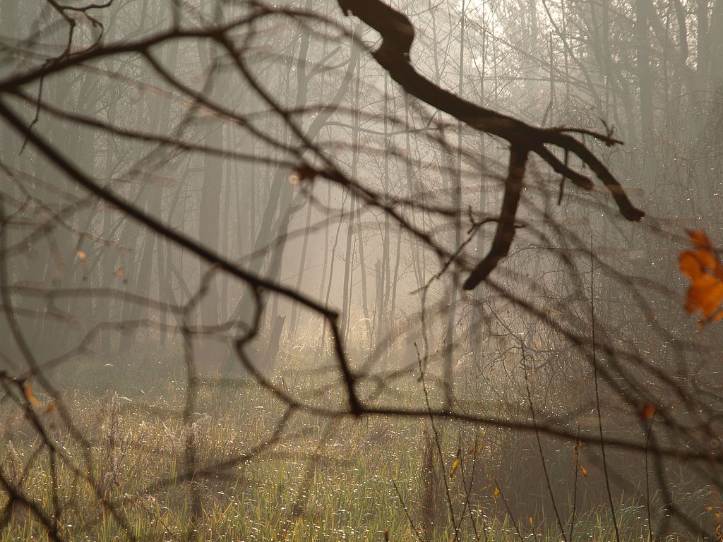 PB064151.JPG