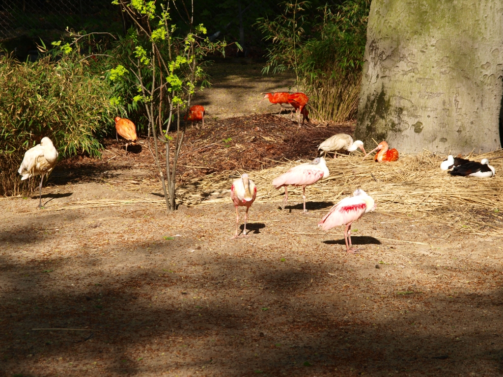 P4168357.jpg