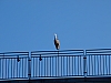 P4114440.jpg
