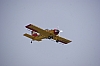 DSC02603.JPG