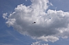 DSC03882.JPG