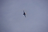 DSC04616.JPG