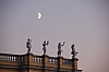 DSC01827.jpg