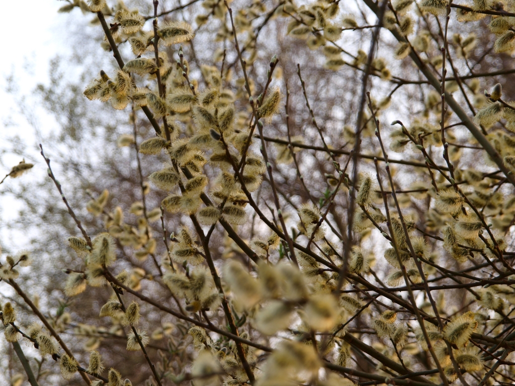 P4040248.jpg