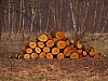 P4040487.jpg