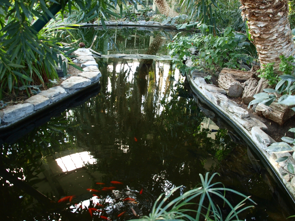 P4135805.jpg